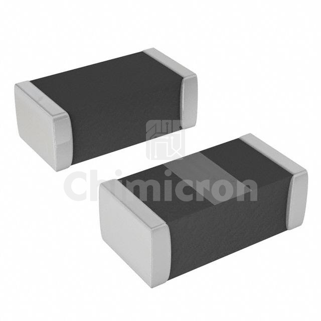 2450BP07A0100T