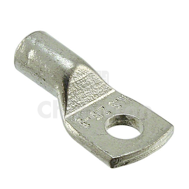 55803025