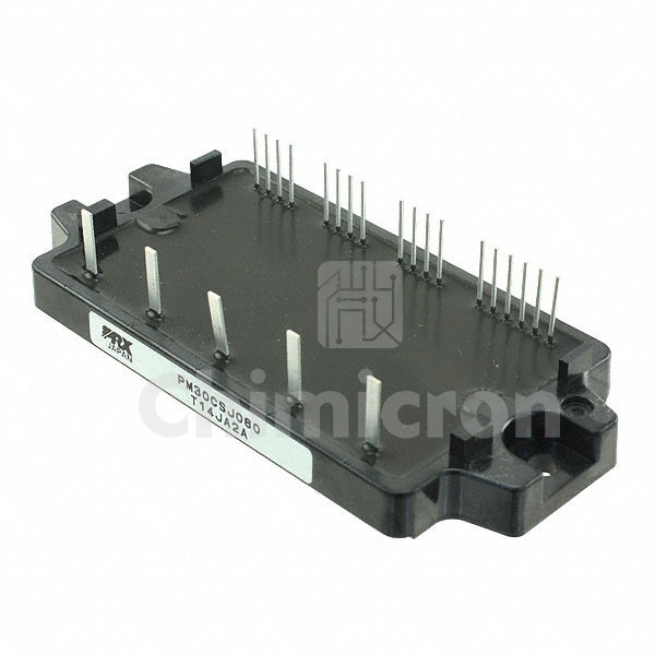 PM30CSJ060