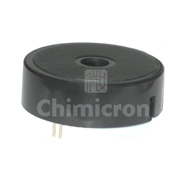 SBT5CHPC